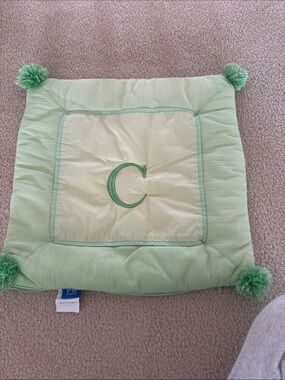 Pottery Barn Teen Mint Green Textured Throw Pillow